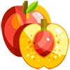 Nectarine